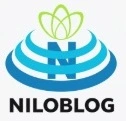 برنامه نویسی وسئو